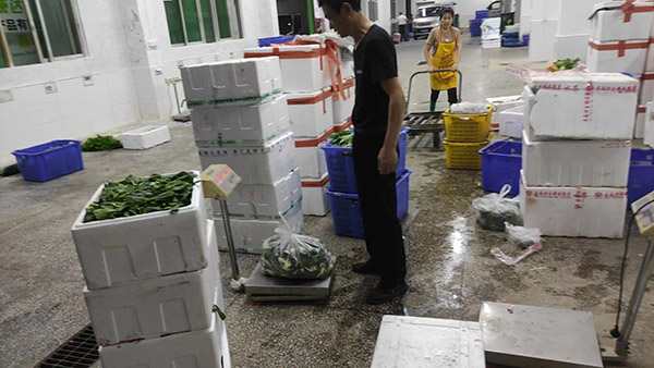 �ϴ��^(q��)ʮ�h(hu��n)�J(r��n)�C�ļҺ�