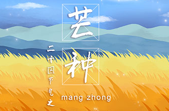 在芒種這個(gè)節(jié)氣里我們要充實(shí)自己，迎接未來的挑戰(zhàn)